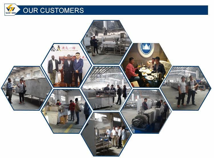 Jinan Sunward Automatic Floating and Sinking Fish Feed Extruder Machine Fish Pellet Machine Fish Feed Machine