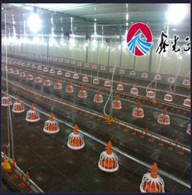 Chicken House with Equipments /Poultry Farm
