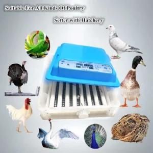 Professional Hhd Full Automatic Poultry Chicken Egg Incubator with LED Efficient Egg Testing Function
