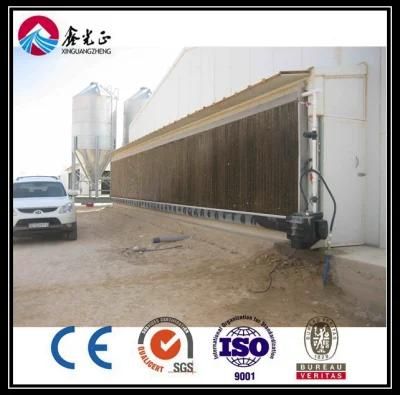 Good Quality Best Price Steel Structure Poultry House and Equipment