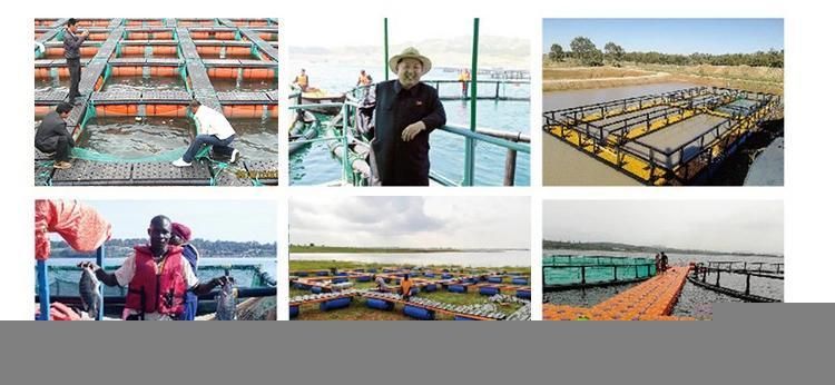 Customized Pontoon Floating Cage Fish Farming Net Cage