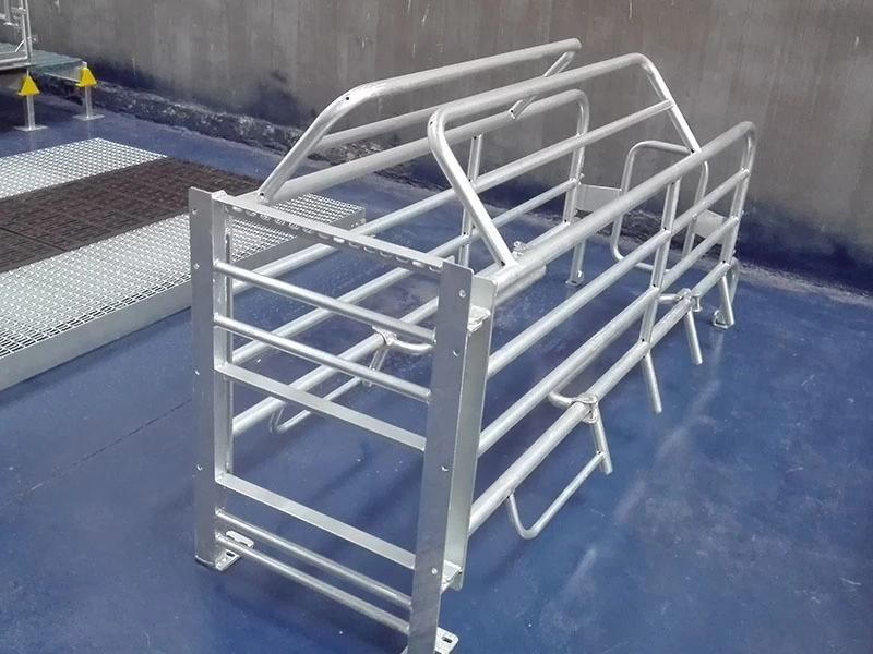 Customized Design Pig Farrowing Crate