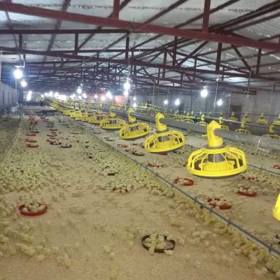 Steel Structure Agriculture House Poultry Feeding Equipment for Chicken