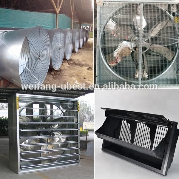 Professional Design Automatic Controling Poultry Farm Equipment for Broiler Chicken House