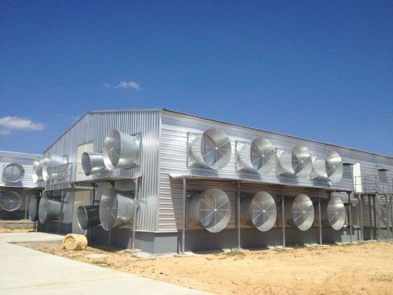 The Best Design for Double Floor Poulty House