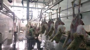 Goat Slaughtering Equipment Skinning Machine Hide Puller for Sheep