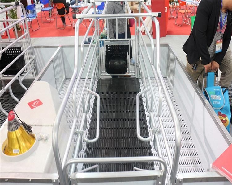 High Quality Galvanized Pig Farm Crates Equipment Farrowing Stall