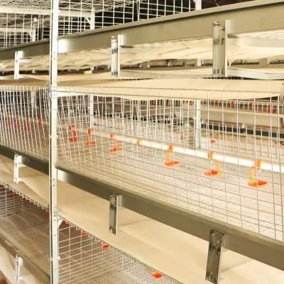 Poultry Cage Suppliers for Broiler/Chicken Layer/Egg Chicken Cage
