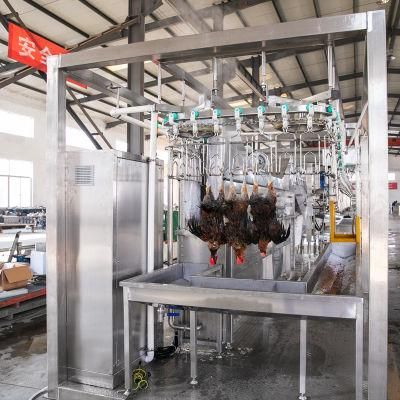 Qingdao Raniche Procesing Factory Line Chicken Processing Equipment