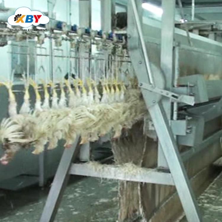 Customized Poultry Slaughterhouse Equipment of Chicken Plucker