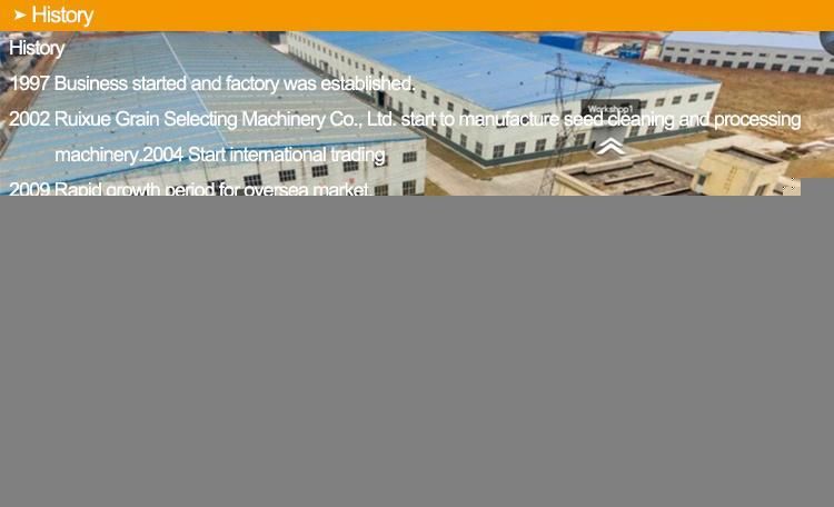 5xzs Sesame Bean Grain Seed Cleaning and Sorting Machine