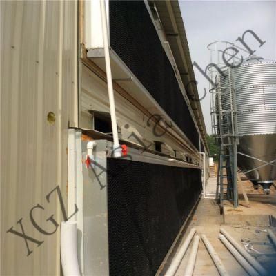 Modern and Beautiful Light Steel Structure Poultry Chicken House Building