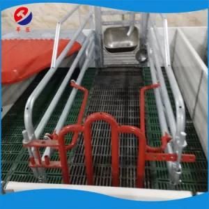 New Design Pig Equipment Galvanized Hog Farrowing Crate