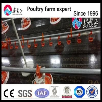 Professional Production Free Breeding Broiler Equipment for Poultry House