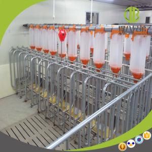 Professional Design Chain Auto Feeding System for Sales
