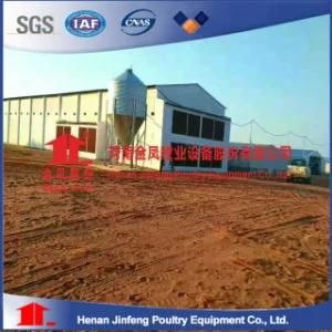 Automatic Poultry Farms Equipment /Galvanized Chicken Battery Cage for Layer Chicken