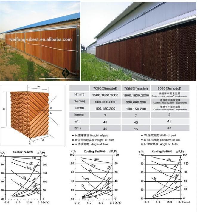 Full Set Modern Poultry Shed Design Chicken Farming House Equipment for Broiler and Breeder
