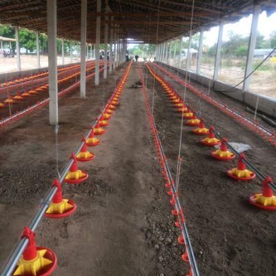 Automatic Poultry Farm Chicken Feeding Equipment for Broiler