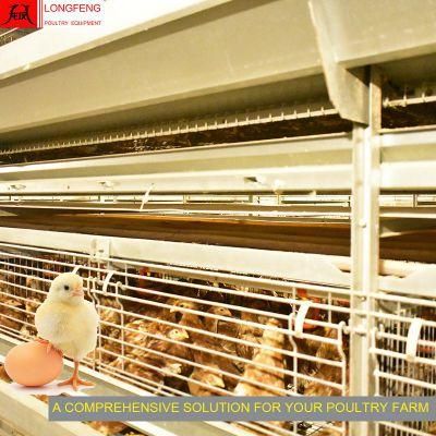 Computerized Solar Egg Incubator Pullet Layer Chicken Cage with 1 Year Warranty