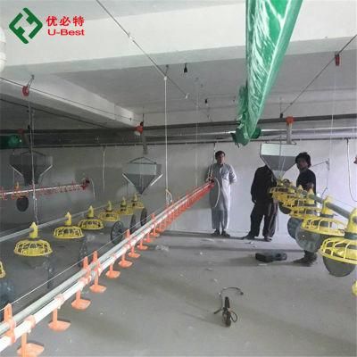 Automatic Chicken Broiler Poultry Farm House Design