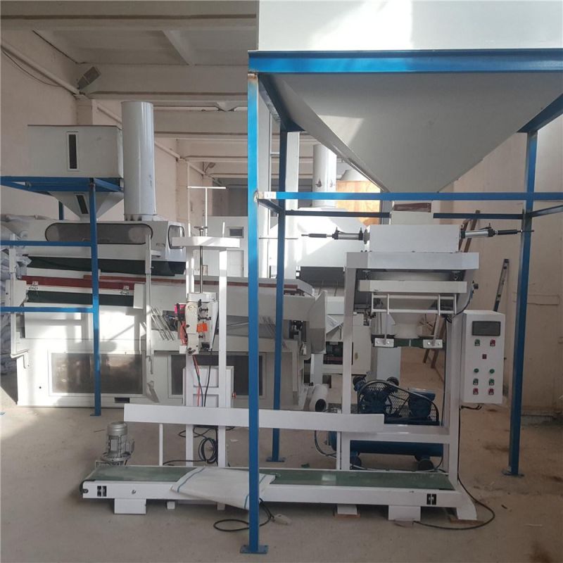 Paddy Seed Cleaning Plant Cleaning Line