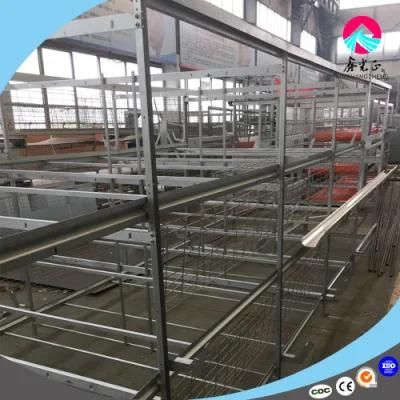 Xinguangzheng Chicken Equipment