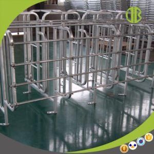 Galvanized Steel Good Quatlity Pig Gestation Stall Pig Farm Equipment