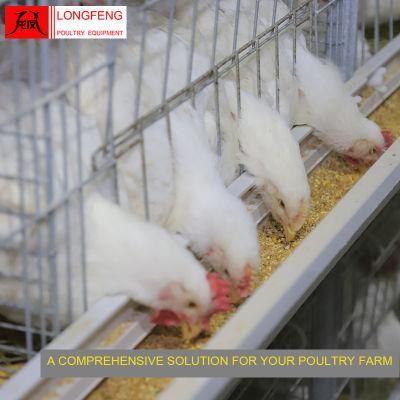 Good Service Longfeng China Poultry Farm Layer Cages Chicken Feeder Equipment 9lcr-3120