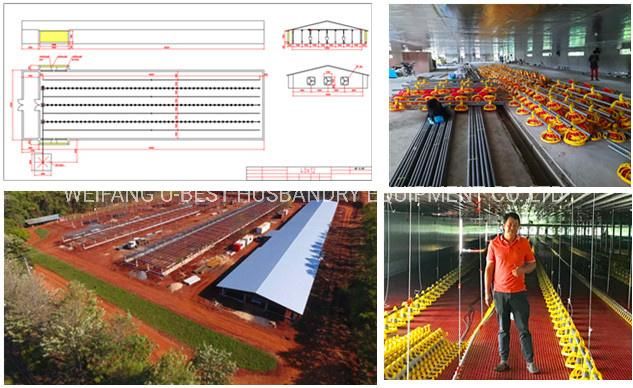 Full Package Automatic Broiler Raising System Poultry Farm Supplies