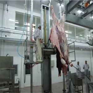 Run Smoothly Cattle Meat Processing for Better Meat Cutting