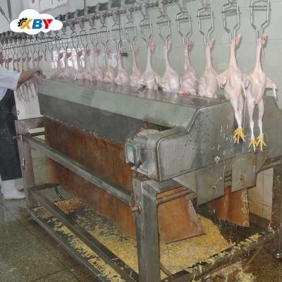 Used to Poultry Processing Line/Chicken Chain Slaughter Line /Duck Slaughtering Equipment