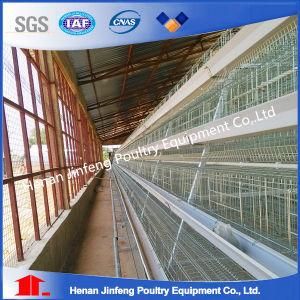 Autmatic Feeding System Poultry Farm Layer Chicken Cage for Sale