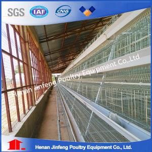 Autmatic Feeding System Poultry Farm Layer Chicken Cage for Sale