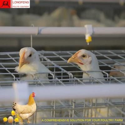 Local After-Sale Service in Asia Chicken Layer Battery Poultry Farm Cage