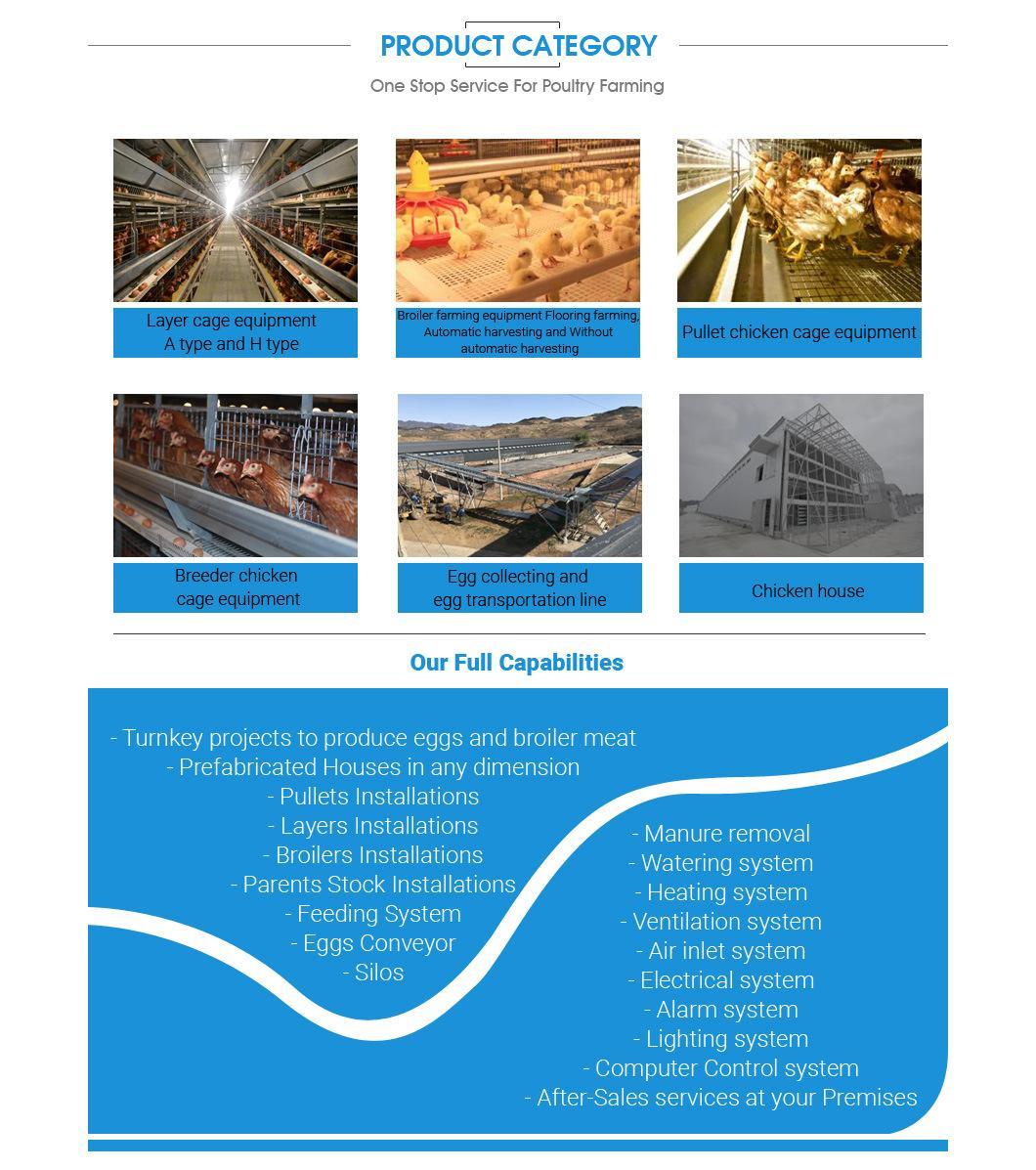 Longfeng Hot Galvanized Material H Frame Poultry Equipment for Laying Hens/Layers/Egg Chicken