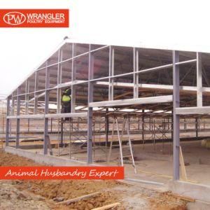 Modern Farm/Prefabricated Steel Structure Poultry House