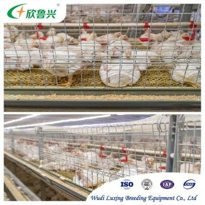 Hot Sell Poultry Equipments Automatic Layer Chicken Battery Cage for Large-Scale Farms