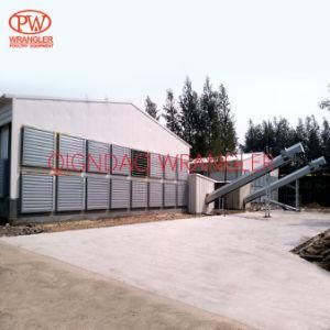Poultry Farm Equipment Automatic Chicken Layer Battery Cage for Sale in Philippines