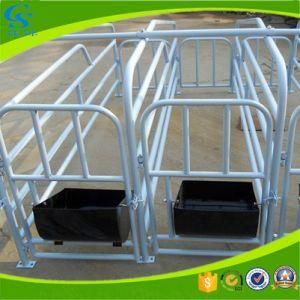 Farming Equipment Gestation Pig Individual Stall