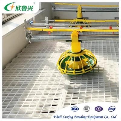 Fully Automatic Poultry Farming Feeding Line System Feeder Equipment for Broiler Chicken Products in Sale