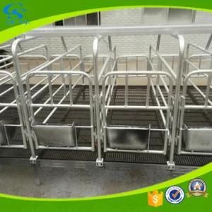 Individual Stall for Gestation Pig