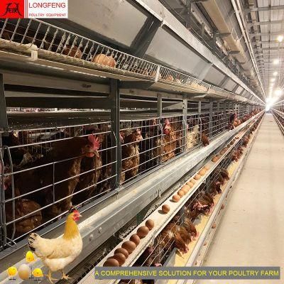China Automatic Chicken Cage Longfeng Livestock Machinery Layer Farm Poultry Farming Equipment