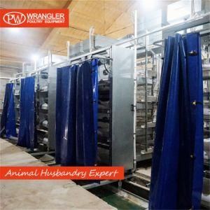 Popular Automatic Poultry Farm Equipment Broiler Chicken Battery Cage for Sale