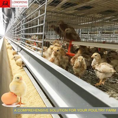 Manure Belt Removing Durable and Sturdy House Pullet Layer Chicken Cage