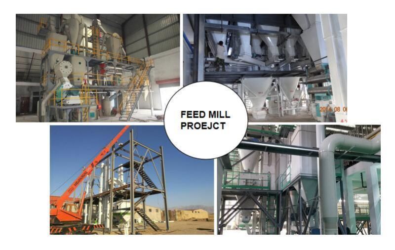 H250 Model Poultry Feed Pellet Making Line One Ton, Chicken Feed Mill Plant, Poultry Feed Machine