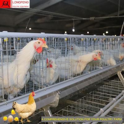 Longfeng Most Advanced Technology Low Egg Broken Rate 15-20years 430cm2 or 450cm2 Professional Chicken Farm Equipment Factory