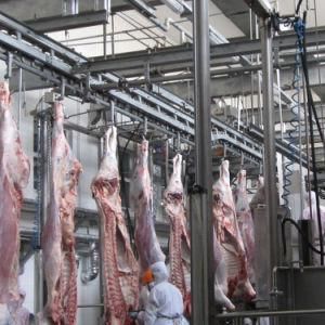 Completed Production Line with Halal Beef Slaughterhouse for Cattle Abattoir