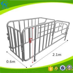 Hot DIP Pipe Galvanized Gestation Crates Pig Sow Stall