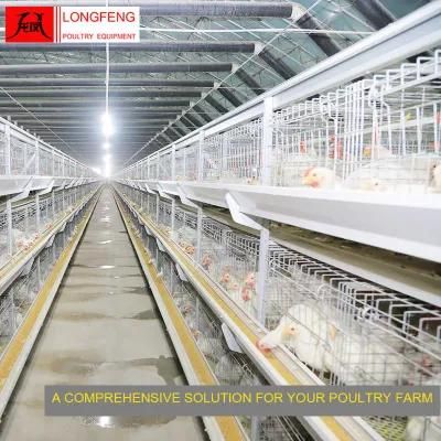 Comprehensive Solution for Farm Local After-Sale Service in Asia Farms Poultry Equipment