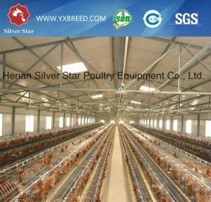 South American Automatic Chicken Poultry Equipment for Layers and Broiler